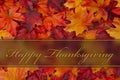 Happy Thanksgiving Greeting Royalty Free Stock Photo