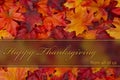 Happy Thanksgiving Greeting Royalty Free Stock Photo