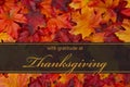 Happy Thanksgiving Greeting Royalty Free Stock Photo