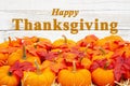 Happy Thanksgiving greeting with orange pumpkins with fall leaves Royalty Free Stock Photo