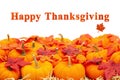 Happy Thanksgiving greeting with orange pumpkins with fall leaves Royalty Free Stock Photo