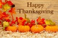 Happy Thanksgiving greeting with orange pumpkins and fall leaves on straw hay Royalty Free Stock Photo