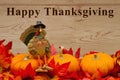 Happy Thanksgiving greeting