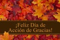 Happy Thanksgiving Greeting in Spanish