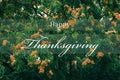 Happy thanksgiving greeting text card Autumn theme Royalty Free Stock Photo