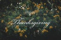 Happy thanksgiving greeting text for poster or postcard, Autumn theme with dark matte tone