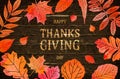 Happy Thanksgiving holiday banner Royalty Free Stock Photo