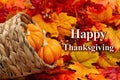Happy Thanksgiving message with a cornucopia and pumpkins Royalty Free Stock Photo
