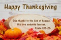 Happy Thanksgiving message Royalty Free Stock Photo