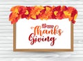 Happy Thanksgiving poster.  Background with red and orange fall leaves on wooden. American traditional november holiday. Banner fo Royalty Free Stock Photo