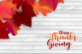 Happy Thanksgiving poster.  Background with red and orange maple fall leaves on wooden board. American traditional november holida Royalty Free Stock Photo