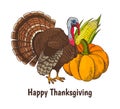 Happy Thanksgiving Poster Turkey Animal Vector