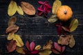 Happy Thanksgiving. Pumpkin and fallen leaves on dark wooden background. Autumn vegetables and seasonal decorations. Royalty Free Stock Photo