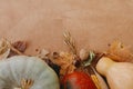 Happy Thanksgiving. Pumpkins, autumn leaves, corn, walnuts,chestnuts,acorns on rustic wooden table. Flat lay with space for text. Royalty Free Stock Photo