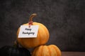 Happy Thanksgiving with pumpkins on dark background Royalty Free Stock Photo