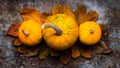 Happy Thanksgiving. Pumpkins and fallen leaves on dark retro background. Autumn and seasonal decorations. Royalty Free Stock Photo