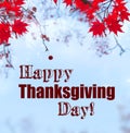 Happy thanksgiving and red maple leaves Royalty Free Stock Photo