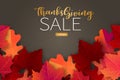 Happy Thanksgiving saleposter. Background with red and orange maple fall leaves. American traditional november holiday. Banner fo