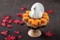 Happy Thanksgiving, small pumpkin cakes, white ceramic turkey on a wooden cake stand, red maple leaves