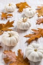 Happy thanksgiving - still life with white pumpkins and autumn leaves on white Royalty Free Stock Photo