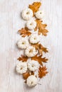 Happy thanksgiving - still life with white pumpkins and autumn leaves on white Royalty Free Stock Photo