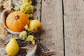 Happy Thanksgiving. Stylish pumpkin, autumn leaves, flowers, pears and cozy blanket on rustic old wooden background. Rural fall