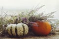 Happy Thanksgiving. Stylish pumpkins and autumn heather on rustic old wooden background at window in light. Fall rural composition