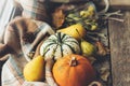 Happy Thanksgiving. Stylish pumpkins, autumn leaves, pears and cozy scarf on rustic old wooden background. Rural fall harvest