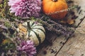 Happy Thanksgiving. Stylish pumpkins, autumn leaves, purple dahlias flowers, heather on rustic old wooden background. Fall harvest Royalty Free Stock Photo
