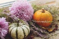 Happy Thanksgiving. Stylish pumpkins, purple dahlias flowers, autumn heather on rustic old wooden background in light. Fall