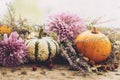 Happy Thanksgiving. Stylish pumpkins, purple dahlias flowers, heather on rustic old wooden background in light. Fall harvest rural Royalty Free Stock Photo