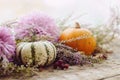 Happy Thanksgiving. Stylish pumpkins, purple dahlias flowers, heather on rustic old wooden background in light. Fall harvest rural