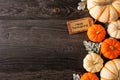 Happy Thanksgiving tag with fall side border of pumpkins and leaves on a dark wood background