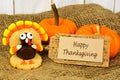 Happy Thanksgiving Royalty Free Stock Photo