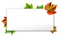 Happy Thanksgiving with text greeting and autumn leaves .Photo of Grapes green leaves wreath