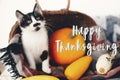 Happy Thanksgiving text, seasons greeting card. Thanksgiving sign. Cute kitty, pumpkin, wicker basket on wooden background. Cat