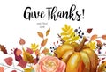 Happy Thanksgiving Vector floral watercolor style hand drawn Greeting card design: Autumn season Pumpkin pink ranunculus flower c Royalty Free Stock Photo