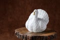 Happy Thanksgiving, white ceramic turkey on a wooden cake stand, against a brown background