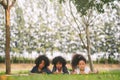 Happy three little friends laying on the grass in the park. american african children playing toy in park.