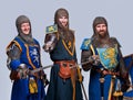 Happy three medieval knights Royalty Free Stock Photo