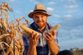 Happy time of young farmer smiling and holding corn cob in two hands at corn field. Agriculture concept. Royalty Free Stock Photo