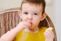 Happy toddler baby boy eating apple pieces while sitting on a high chai Royalty Free Stock Photo