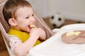 Happy toddler baby boy eating apple pieces while sitting on a high chai Royalty Free Stock Photo