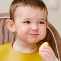 Happy toddler baby boy eating apple pieces while sitting on a high chai Royalty Free Stock Photo