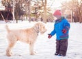 Happy toddler boy running and playing with white dog outdoors in winter day Royalty Free Stock Photo