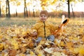 Happy toddler boy sits in fallen leaves in autumn park. Family outdoor fun in autumn. Royalty Free Stock Photo