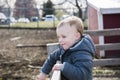 Toddler Boy Visiting a Local Urban Farm Looking at Horses in a Paddock