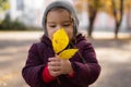 Happy toddler child plays with yellow leaves on sunny autumn day Royalty Free Stock Photo