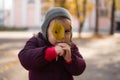 Happy toddler child plays with yellow leaves on sunny autumn day Royalty Free Stock Photo