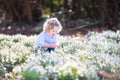 Happy toddler girl playing with first spring flowers Royalty Free Stock Photo